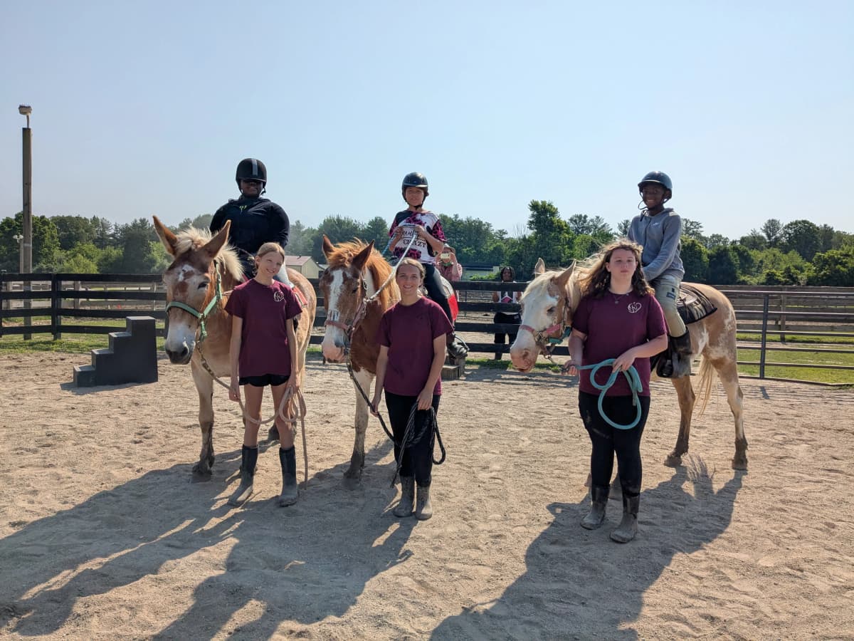 What a summer! And you made it happen... - Image 2