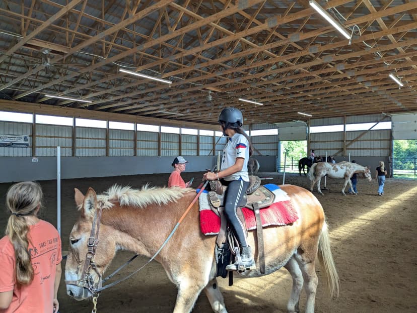 Horse
