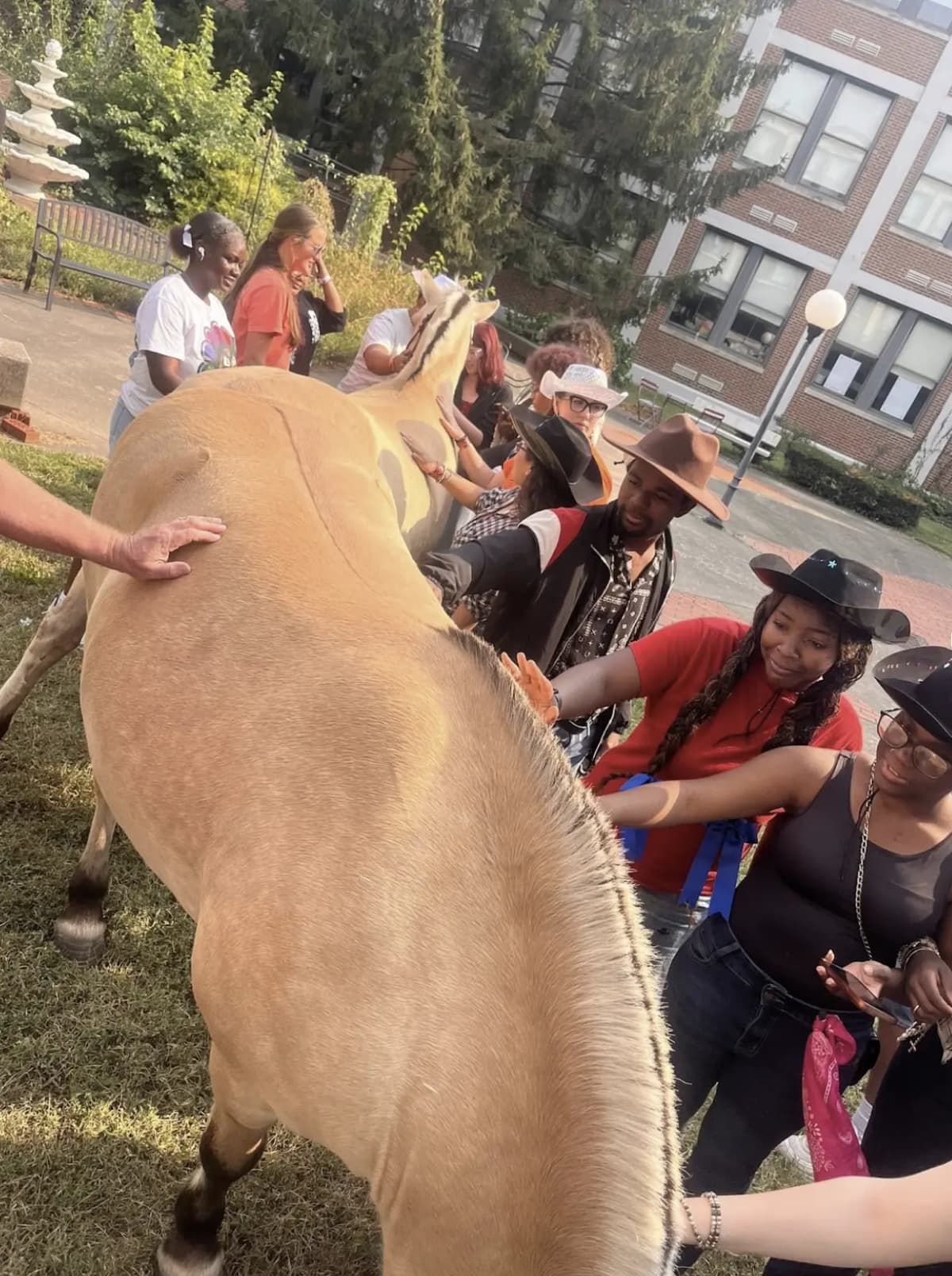 Horses attending high school? Ours do, and they made an impact! - Image 1