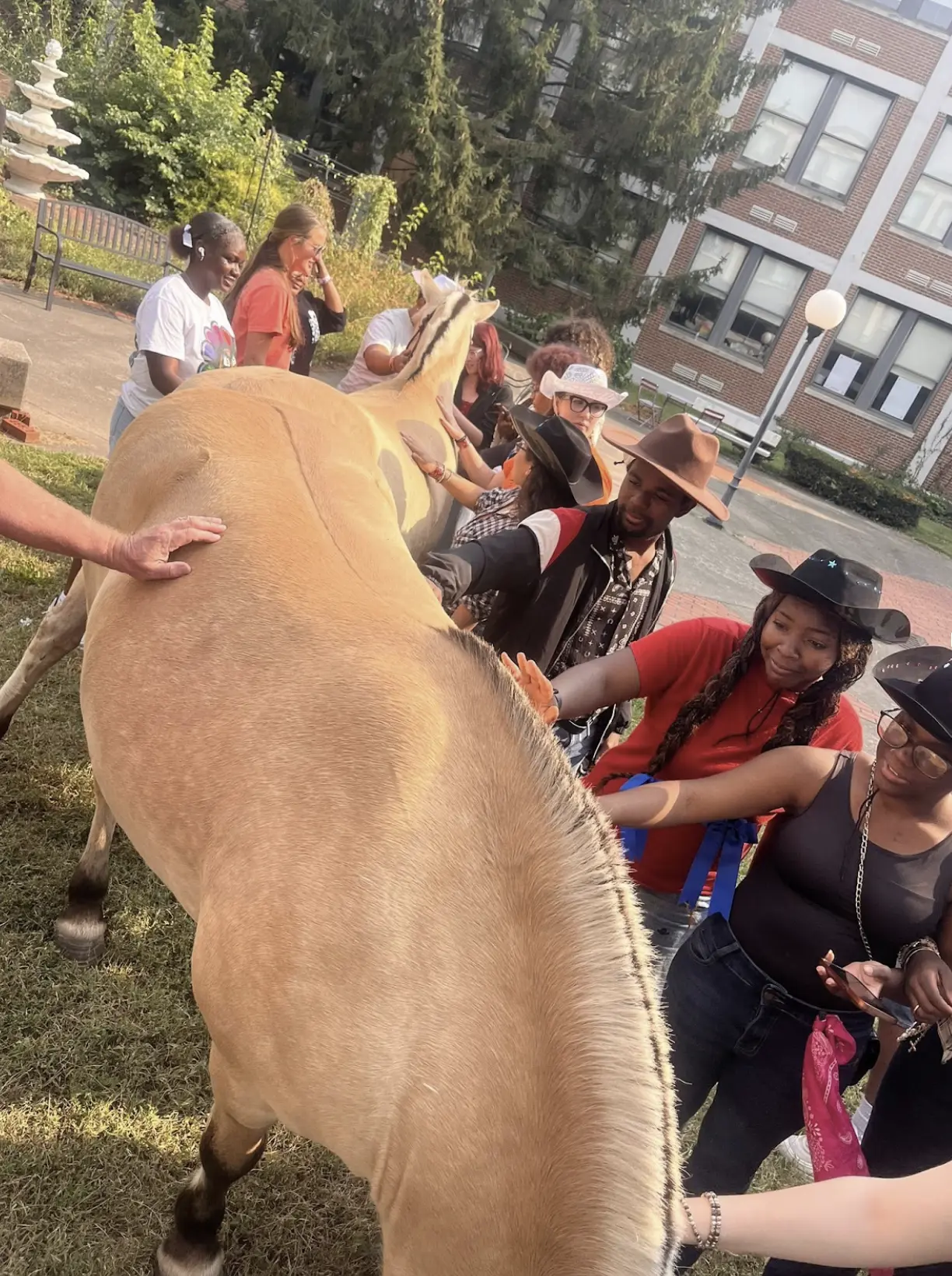 Horses in the Hallways: Our Shortridge High School Visit — photo 1