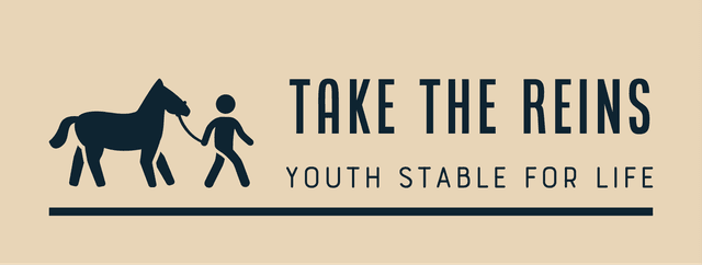 Take The Reins logo